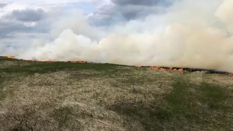 В Нижнекамске загорелось поле из-за непотушенных углей
