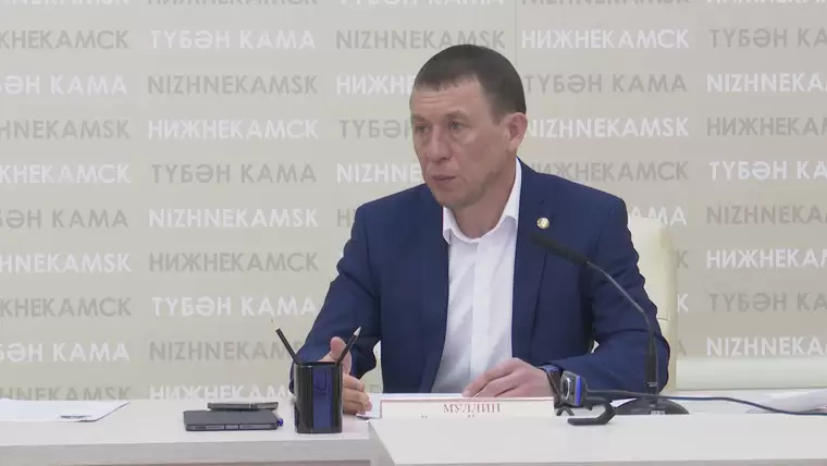Руководитель исполкома Нижнекамского района за 2021 год заработал 3,3 млн рублей