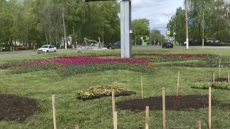 К лету на клумбах Нижнекамска будет высажено несколько сотен тысяч цветов