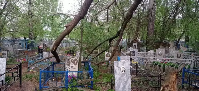 На кладбище под Нижнекамском деревья падают на памятники