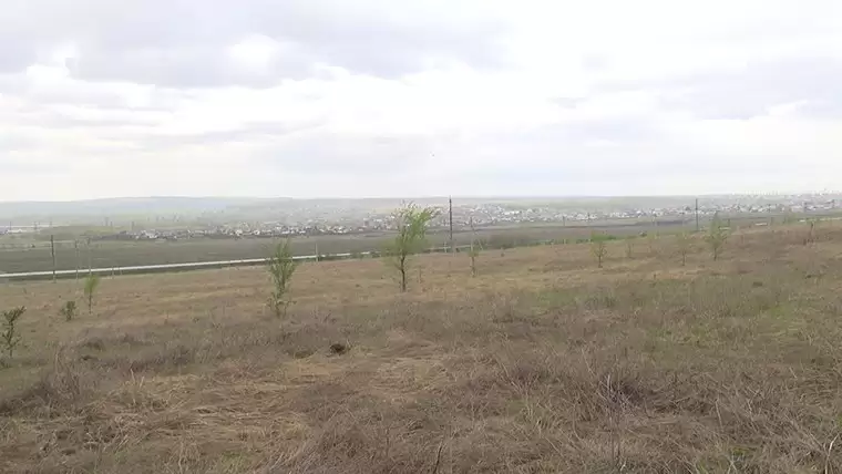 Двухуровневая развязка через село Нижнее Афанасово будет оборудована защитой от шума