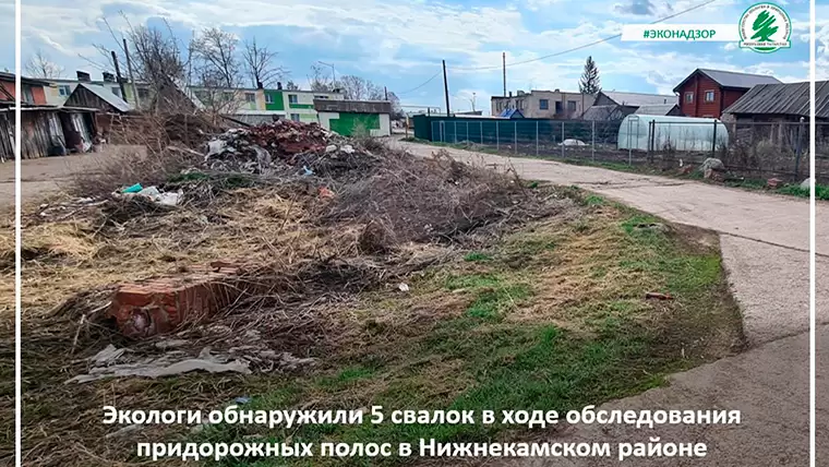 В Нижнекамском районе экологи обнаружили пять свалок вдоль дорог
