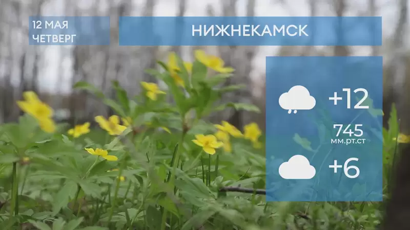 Прогноз погоды в Нижнекамске на 12-е мая 2022 года
