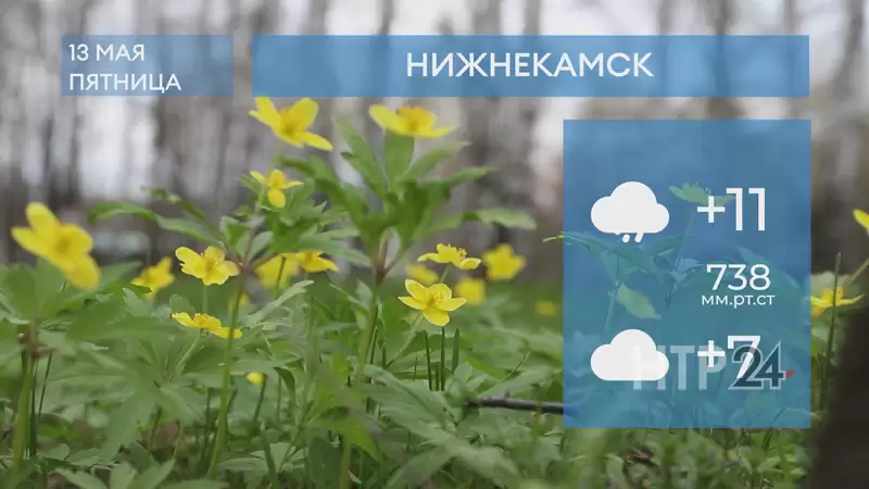 Прогноз погоды в Нижнекамске на 13-е мая 2022 года