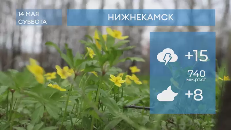 Прогноз погоды в Нижнекамске на 14-е мая 2022 года