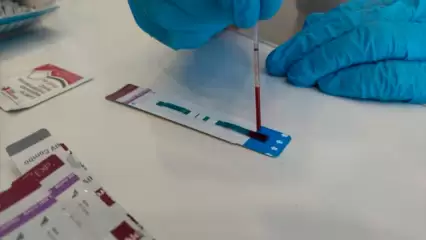 За три года благодаря диспансеризации удалось спасти 800 татарстанцев из сельской местности - НТР 24