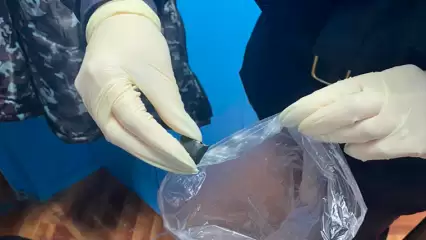 В Нижнекамске ночью задержали молодую девушку с наркотиками - НТР 24