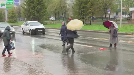 Дождь и ветер ожидают жителей Татарстана в воскресенье