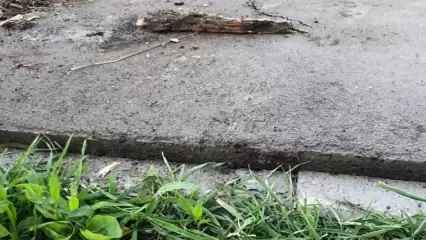 В Нижнекамске специалисты повредили тротуар, выкорчевывая пень