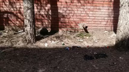 «Вдоль всей стены писающие мальчики!»: нижнекамец показал место сбора любителей выпить - НТР 24