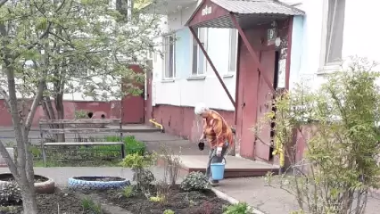В Нижнекамске 80-летняя пенсионерка каждую весну устраивает цветник в своём дворе