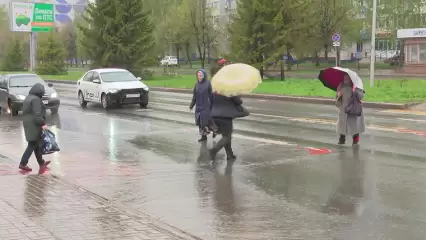 В Татарстане в выходные установится дождливая погода с грозами - НТР 24