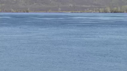 СМИ: в Татарстане на Каме водолазы ищут моториста, упавшего за борт теплохода - НТР 24