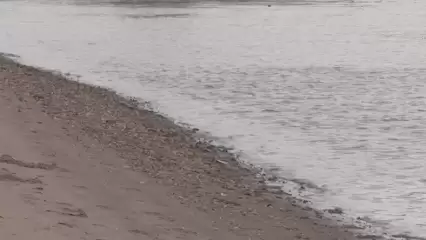 В Татарстане запущен проект по улучшению состояния Казанки - НТР 24