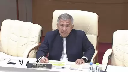 Минниханов поручил оперативно рассматривать заявления на новые детские выплаты - НТР 24