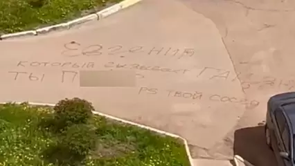 Нижнекамец оставил для соседа, который «вызывает ГАИ», матерную надпись на асфальте