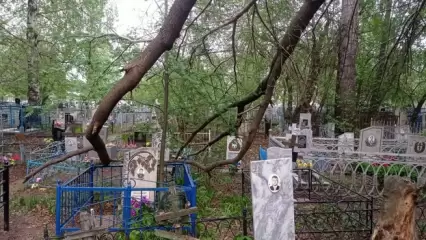 На кладбище под Нижнекамском деревья падают на памятники