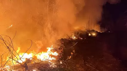 В Нижнекамском районе продолжают полыхать поля из-за неосторожного обращения с огнём