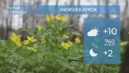 Прогноз погоды в Нижнекамске на 6-е мая 2022 года