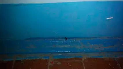 «Они нас скоро вынесут с квартир!»: нижнекамцы опасаются нежелательных соседей - НТР 24