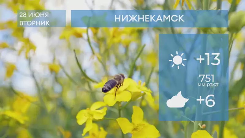 Прогноз погоды в Нижнекамске на 28-е июня 2022 года