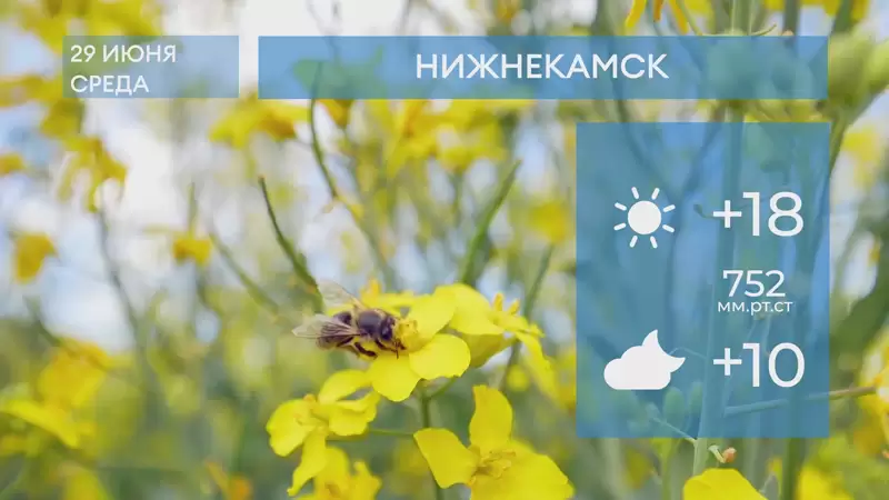 Прогноз погоды в Нижнекамске на 29-е июня 2022 года