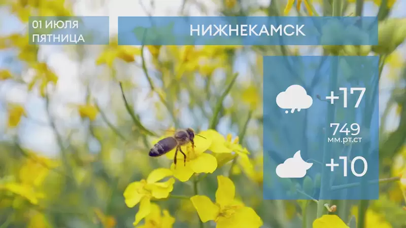 Прогноз погоды в Нижнекамске на 1-е июля 2022 года