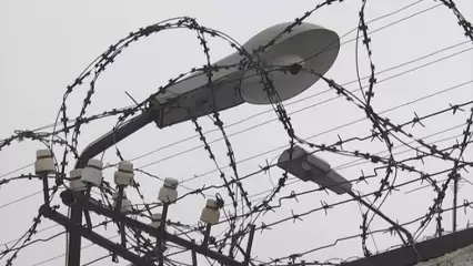 В Татарстане молодой парень-рецидивист получил срок за список преступлений - НТР 24