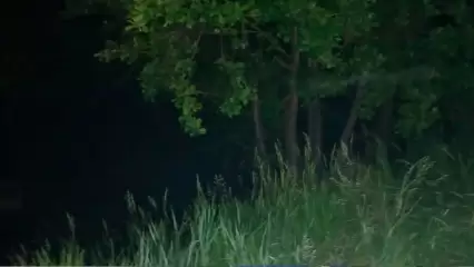 В Татарстане утонул девятилетний мальчик, который ушел на рыбалку один - НТР 24