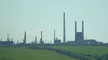 «Гемонт», строивший завод в Нижнекамске, намерен заявить о банкротстве