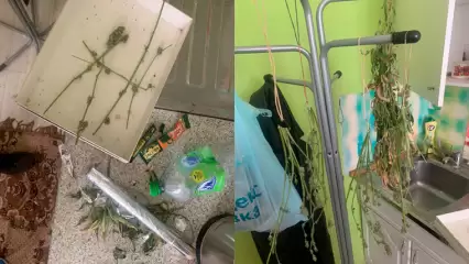 В Татарстане ликвидировали лабораторию по производству мефедрона - НТР 24