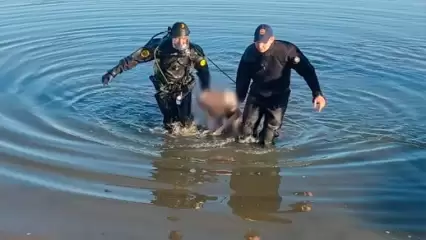 В Татарстана парень решил искупаться поздно вечером и утонул - НТР 24