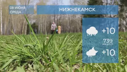 Прогноз погоды в Нижнекамске на 8-е июня 2022 года