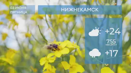 Погода в Нижнекамске на 3-е июня 2022 года