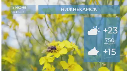 Прогноз погоды в Нижнекамске на 16-е июня 2022 года