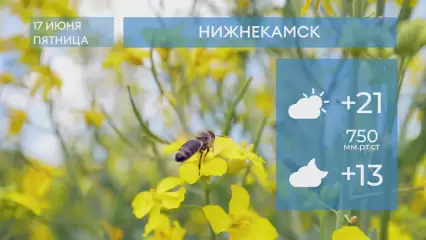Прогноз погоды в Нижнекамске на 17-е июня 2022 года
