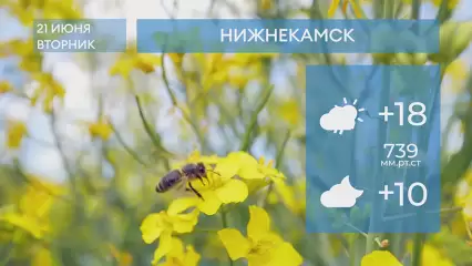 Прогноз погоды в Нижнекамске на 21-е июня 2022 года