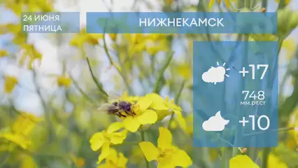Прогноз погоды в Нижнекамске на 24-е июня 2022 года