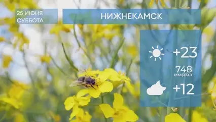 Прогноз погоды в Нижнекамске на 25-е июня 2022 года
