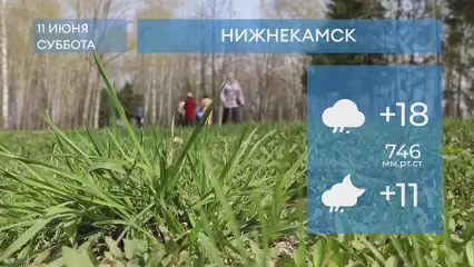 Прогноз погоды в Нижнекамске на 11-е июня 2022 года