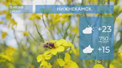 Прогноз погоды в Нижнекамске на 15-е июня 2022 года