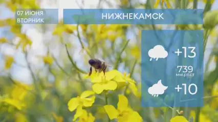 Прогноз погоды в Нижнекамске на 7-е июня 2022 года