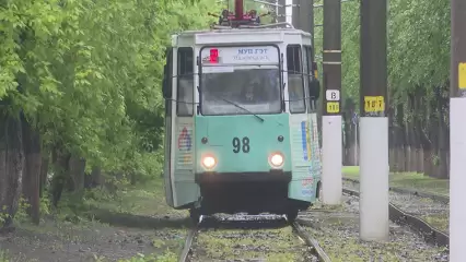 На День молодежи в Нижнекамске будут запущены дополнительные рейсы трамваев - НТР 24