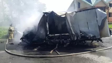 В Татарстане в результате ДТП сгорела «Газель», водитель погиб - НТР 24