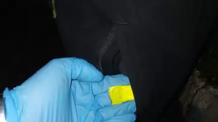 Полицейские нашли наркотики в кармане трико нижнекамца - НТР 24