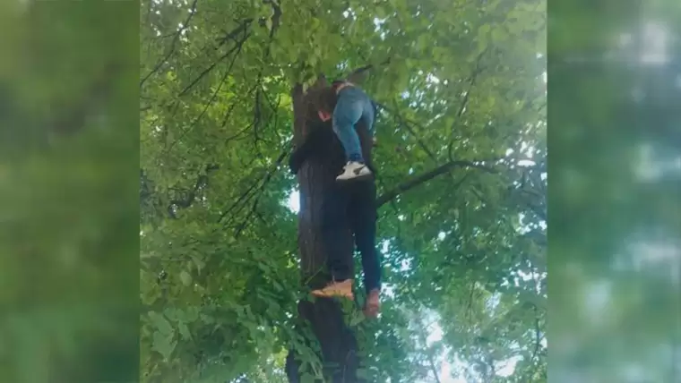В Татарстане женщина застряла на дереве, пытаясь снять с него кота