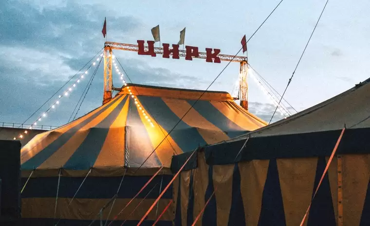 «Это было мерзко»: жительница Нижнекамска сходила в цирк и пришла в ужас от поведения зрителей