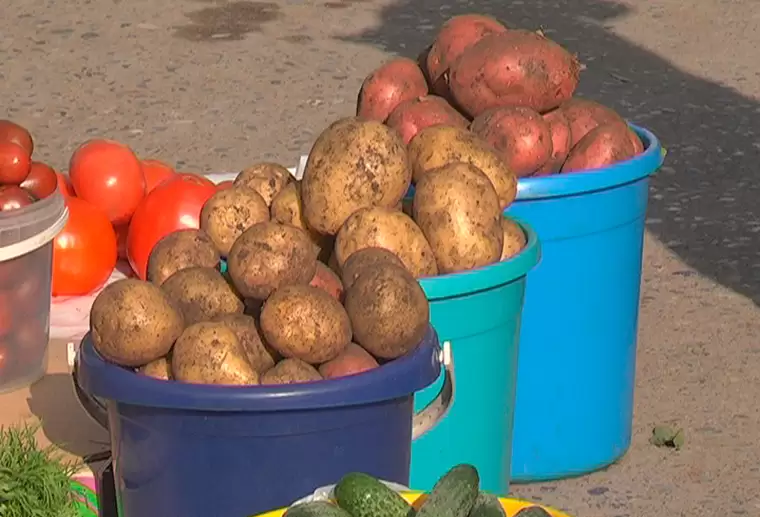 В Челнах бабушкам, торгующим на улице овощами с огорода, пригрозили штрафами