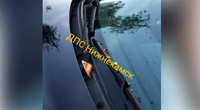 В Нижнекамске скинутый из окна цветочный горшок попал в машину