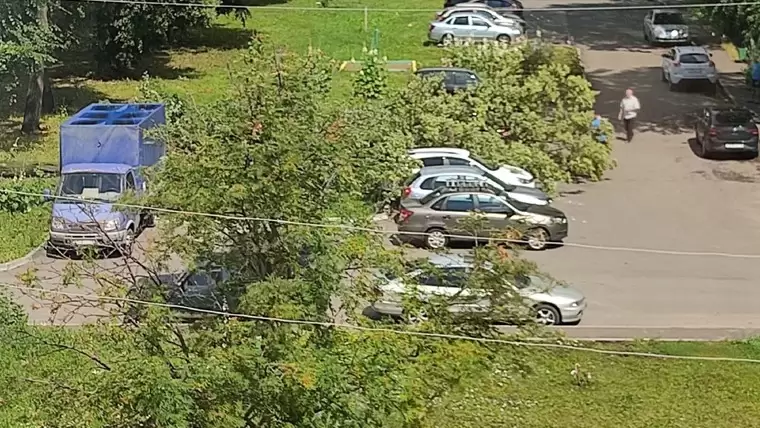 В Нижнекамске из-за сильного ветра на припаркованные автомобили упало дерево